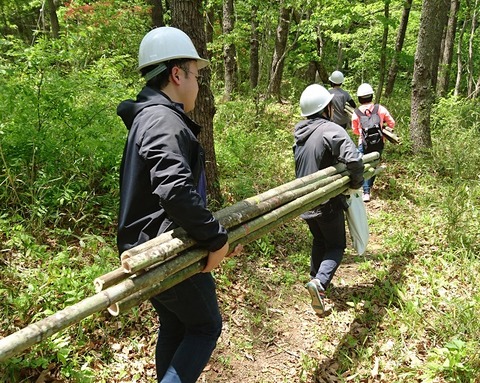 竹の運搬