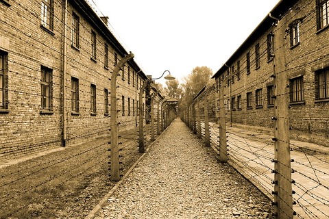 auschwitz-385639_640 (1)