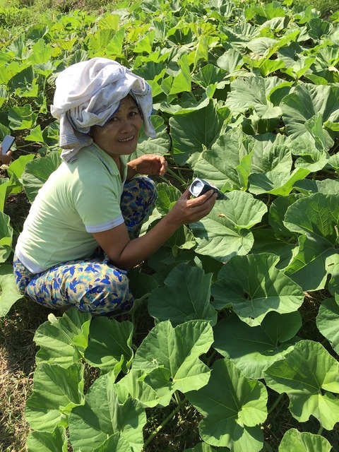 有機野菜栽培講座を受講。土づくりから学ぶ。