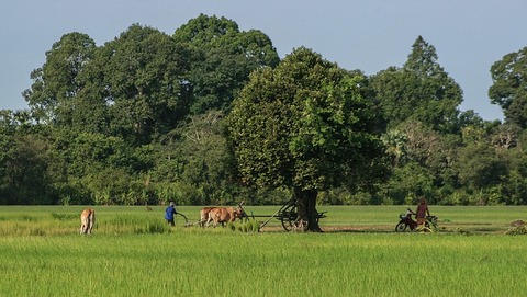 cambodia-1527454_640