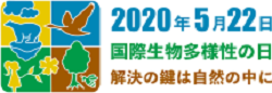 idb-2020-logo-jp-75ht